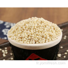 Avantages pour la santé du riz de sorgho